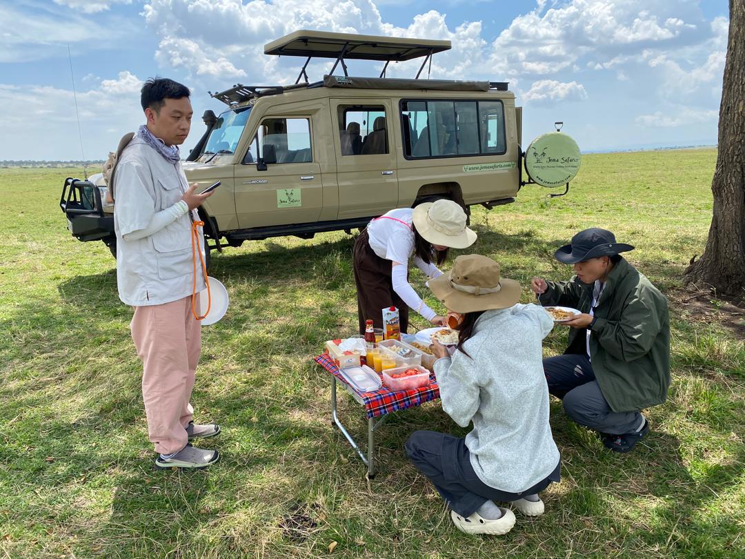 Picnic Lunch