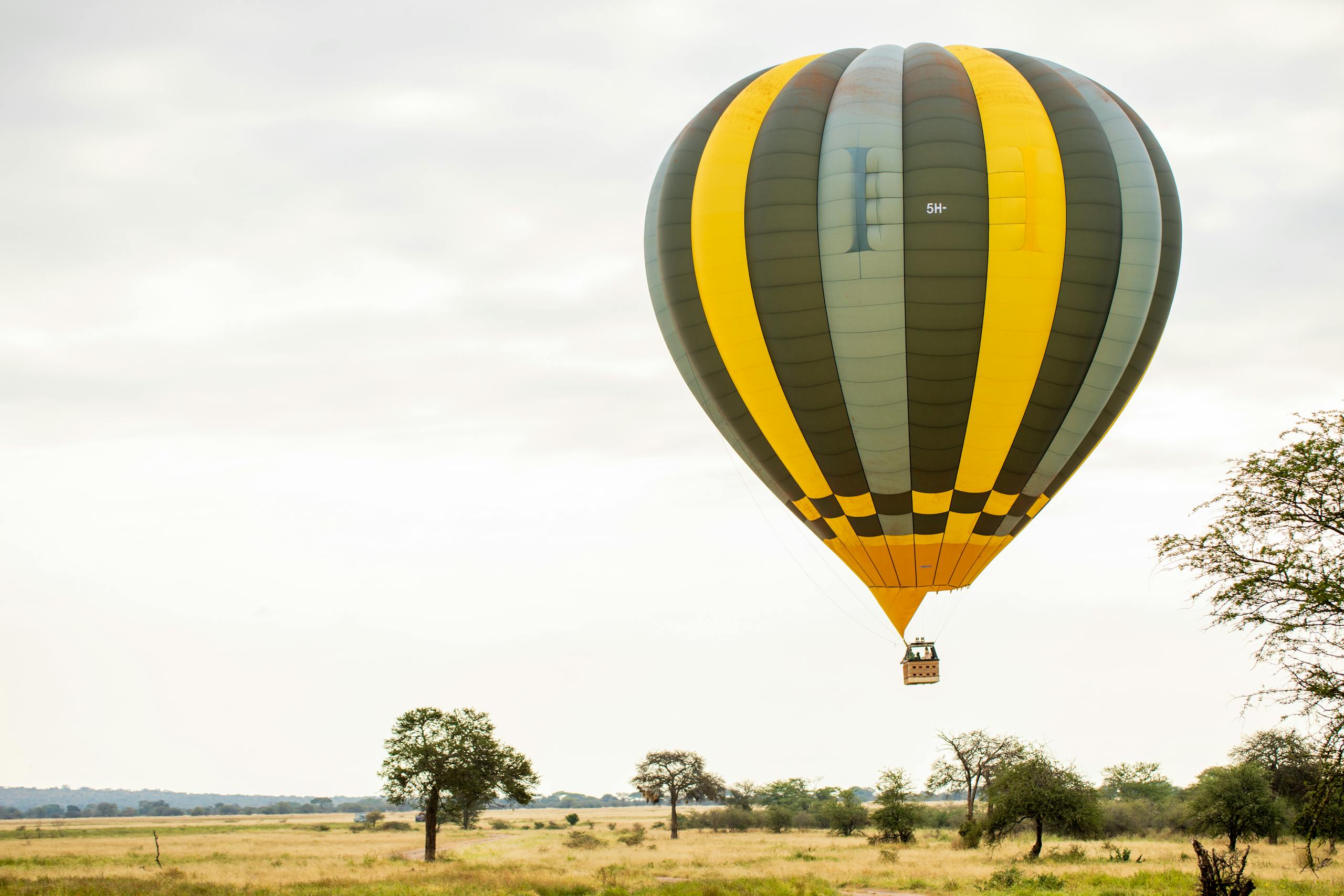 A vibrant hot air balloon glides over the Tarangire National Park savannah, capturing the essence of adventure.