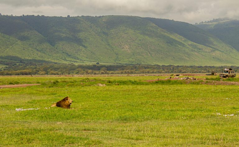 Ngorongoro Crate stunning view