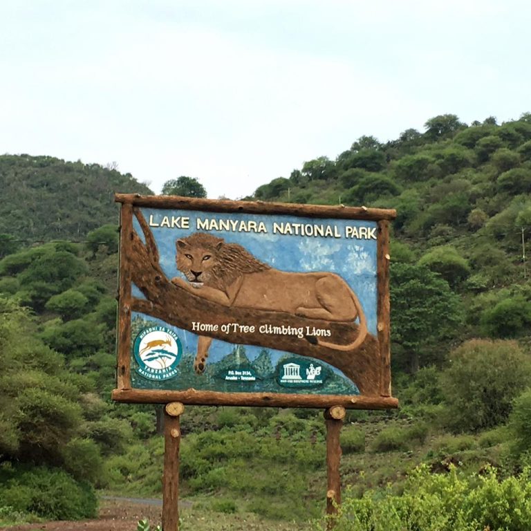 tanzania_lake_manyara_exploringafrica_safariadv_romina_facchi_travel_safari (1)