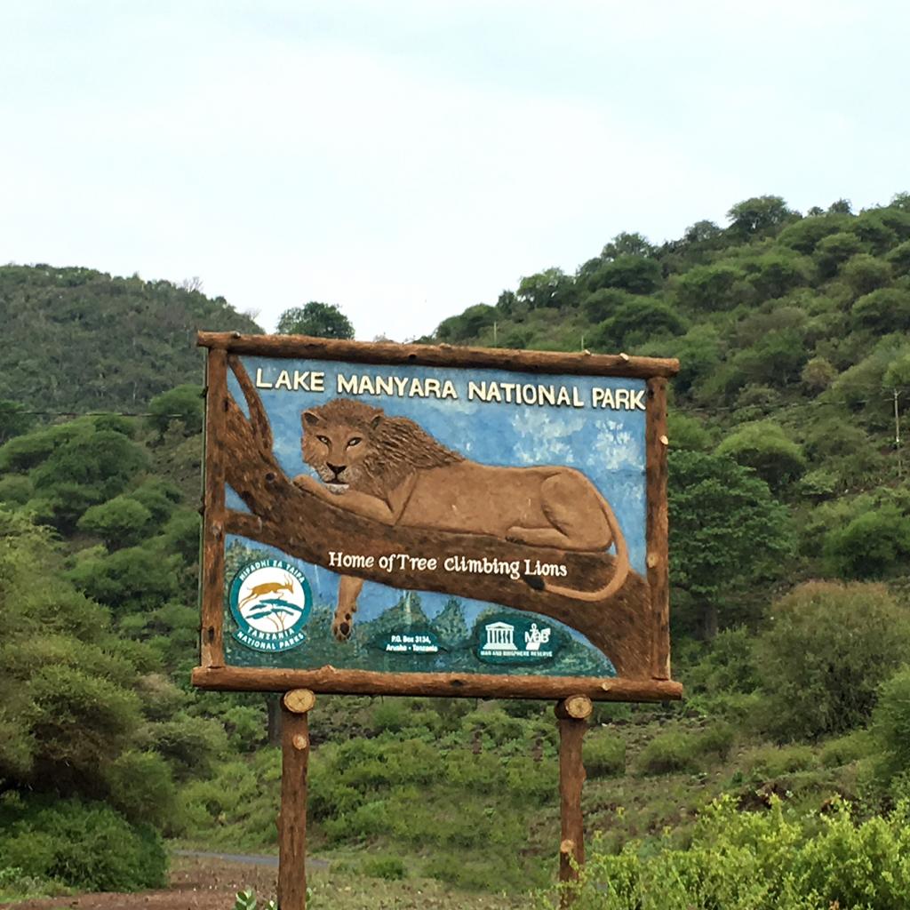 tanzania_lake_manyara_exploringafrica_safariadv_romina_facchi_travel_safari (1)