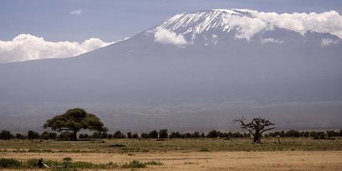 Mount_Kilimanjaro_039